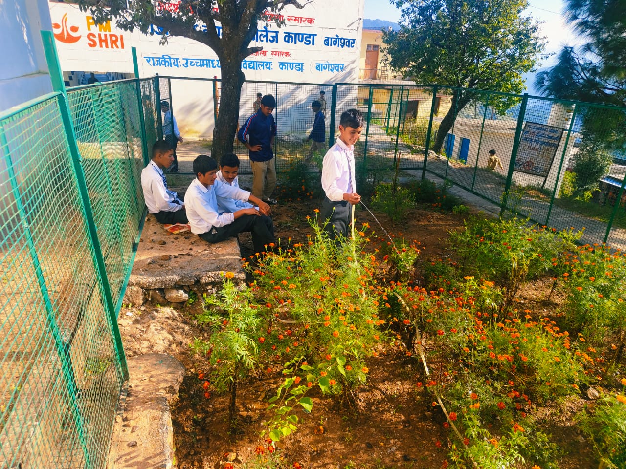 Green school